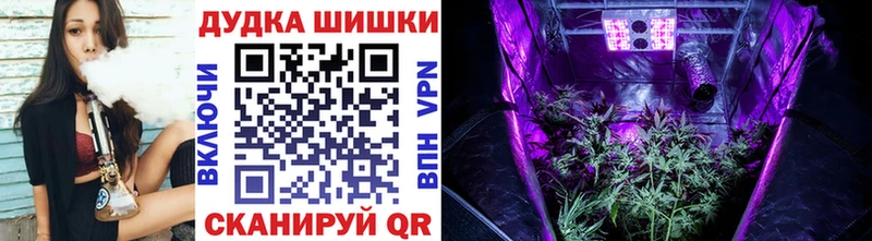 продажа наркотиков  Усть-Кут  Бошки Шишки SATIVA & INDICA 